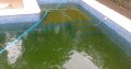 LIMPIEZA Y MANTENIMIENTO DE PISCINAS