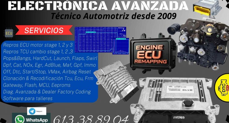 Reprogramaciones (ECU) Coche, Trailer, Tractor, Exca..